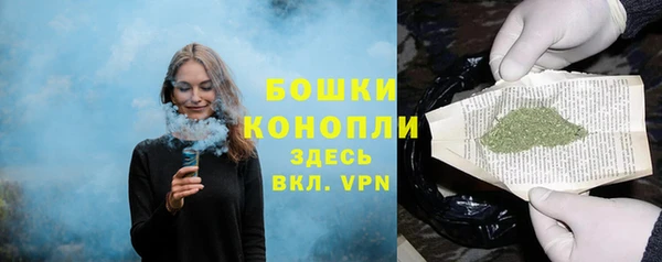 шишки Балахна