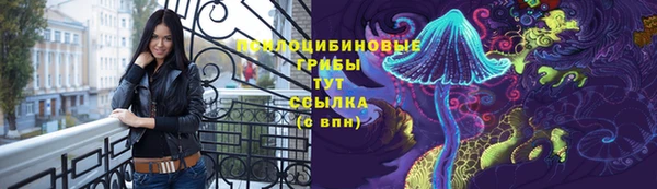 шишки Балахна