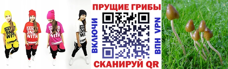 Галлюциногенные грибы Magic Shrooms  купить наркотики сайты  Берёзовский 